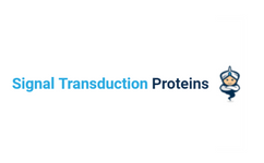 Signal Transduction Recombinant Proteins